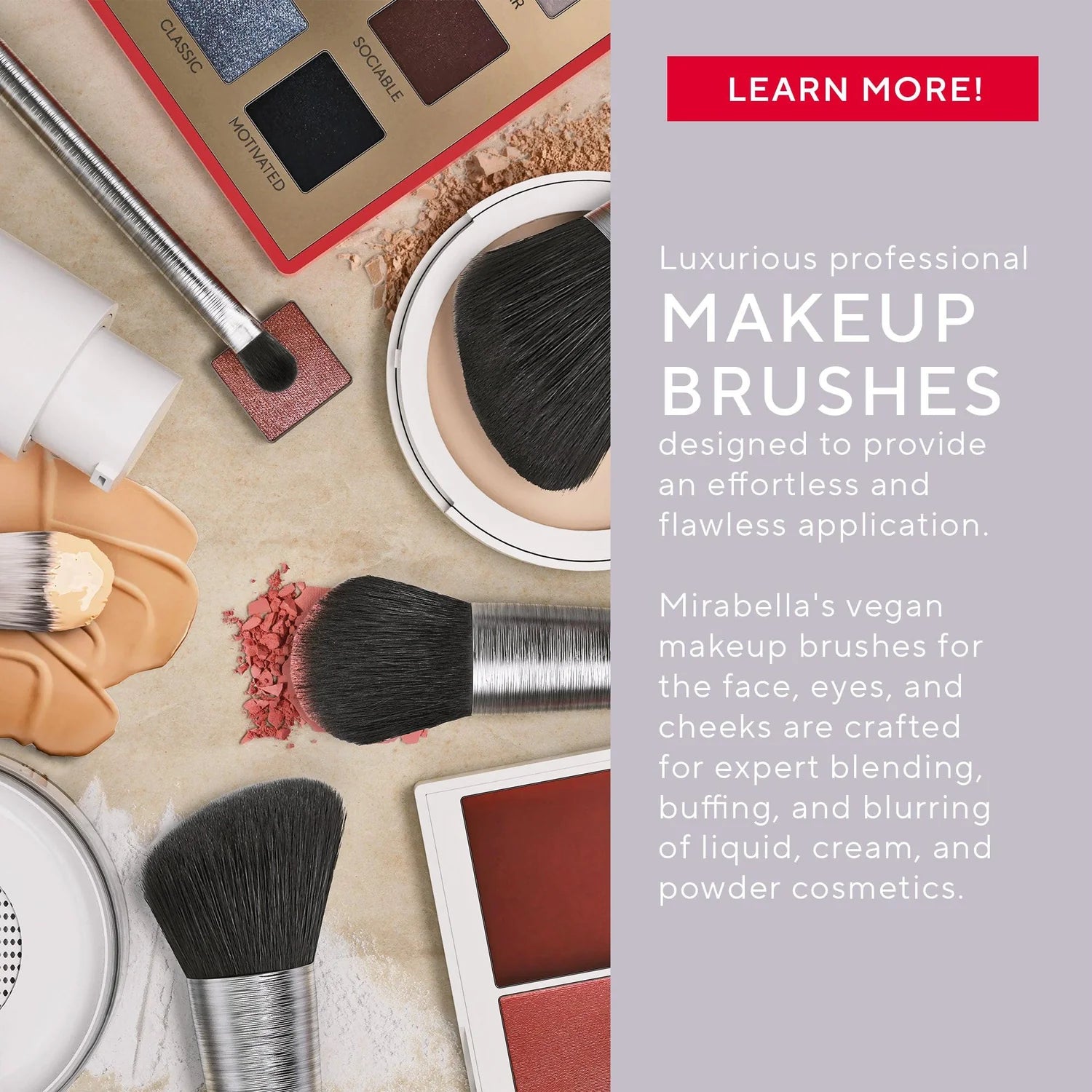Blush Contour Professional Makeup Brush